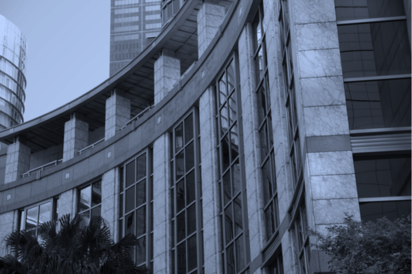 Safe Harbour Australia: Insolvent Trading Protection for Company Directors